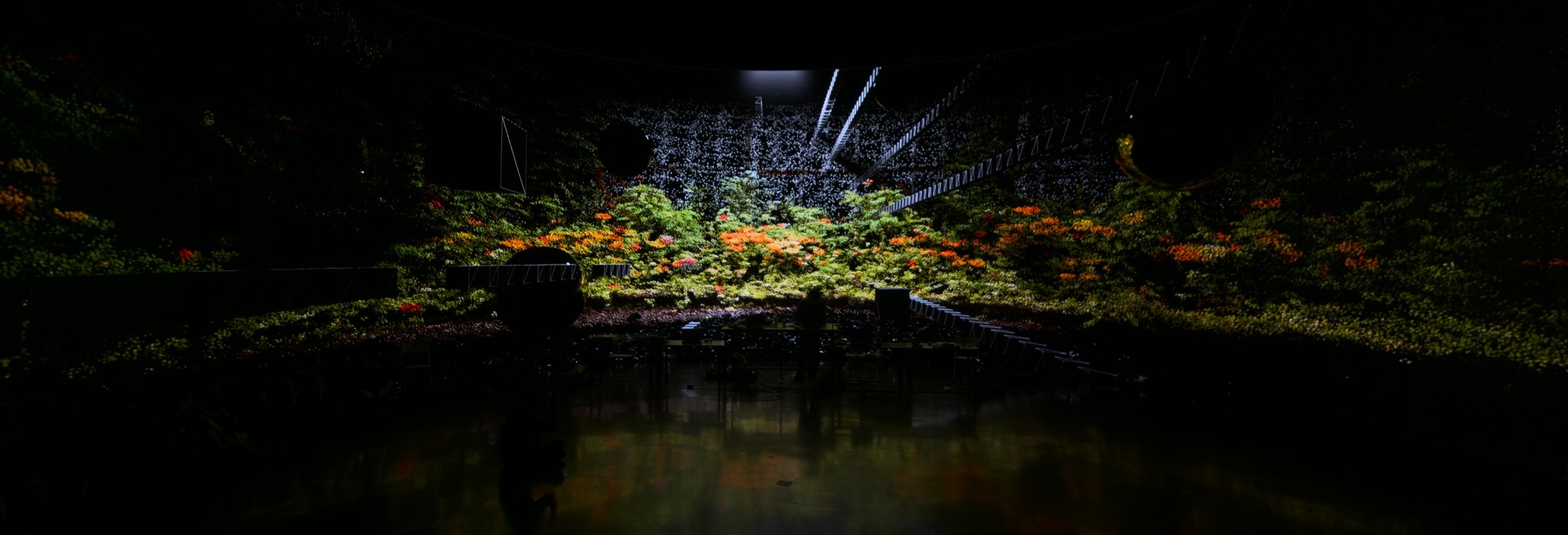 Immersive spatial media environment